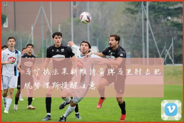 马宁执法果断维持黄牌马里肘击犯规努涅斯提醒注意