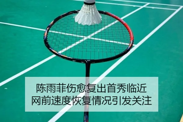 陈雨菲伤愈复出首秀临近 网前速度恢复情况引发关注 | SabaSports